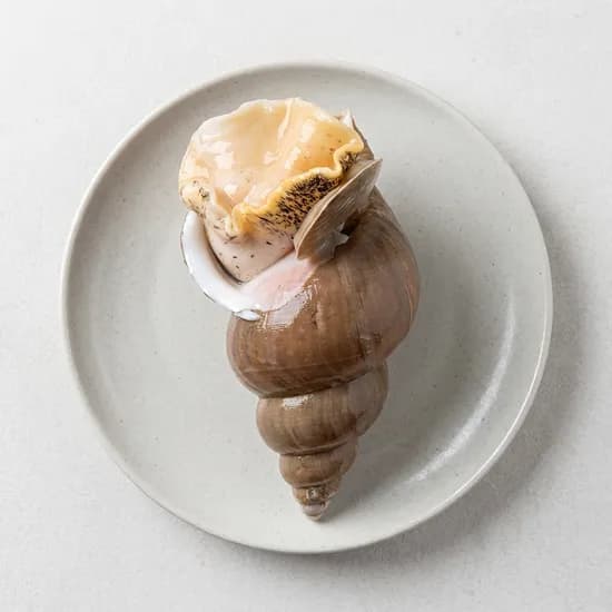 포항 자연산 백고동 백골뱅이 중 1kg 1개