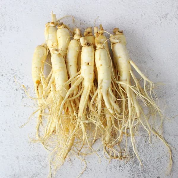금산 황금농장 난발삼 오쿠용 250g 10-35편 1개
