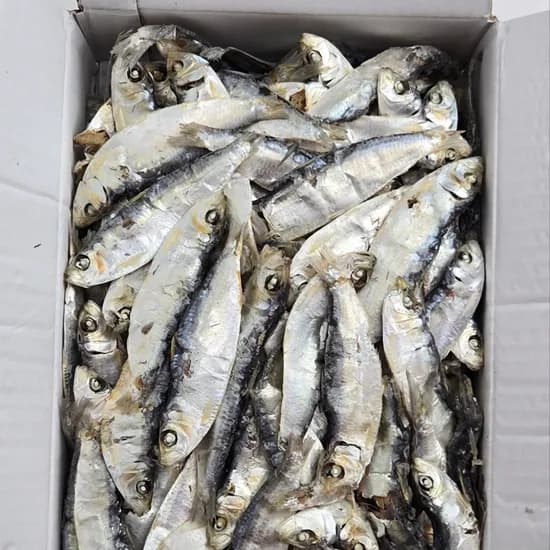 바다찬미 디포리멸치 1.5kg 1개