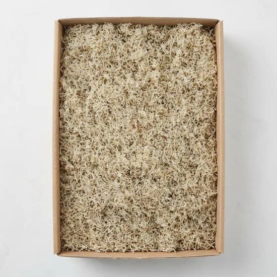 바다찬미 국내산 잔멸치 볶음용 어린이용 1.5kg 1개
