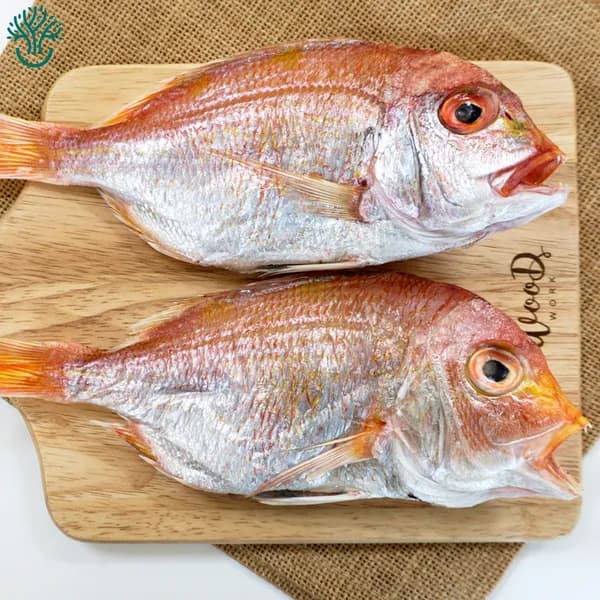 꽃돔 반건조 1팩 16,900원