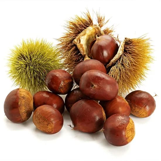 부여 햇 밤 중크기 2kg 1개
