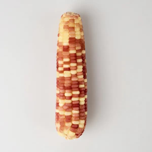 홍찰옥수수 찰옥수수 특대 2kg 내외 10개