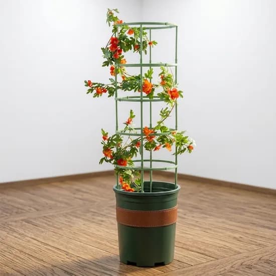 조립식 원형 식물지지대, 1세트