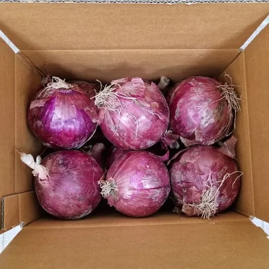 무안 자색양파, 소, 5kg, 1박스