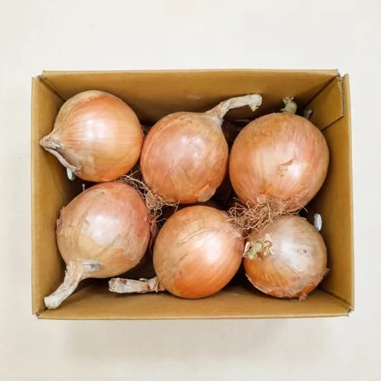 무안산 품질 좋은 양파, 특대, 3kg, 1박스