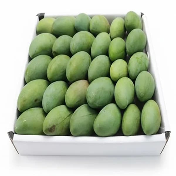 Thomy 베트남 베이비 그린망고 1.5kg 1개
