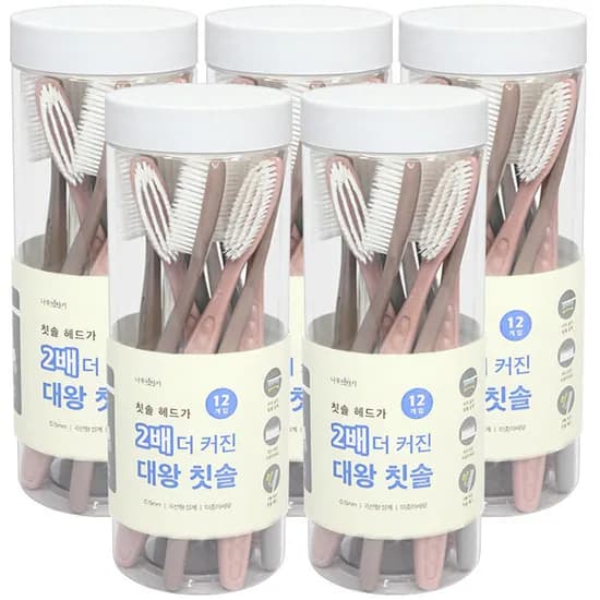 대왕칫솔 이중미세모 대형 12개입 5통