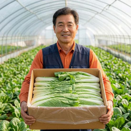 야채삼촌 전라도 얼갈이 배추 약 4kg 1개