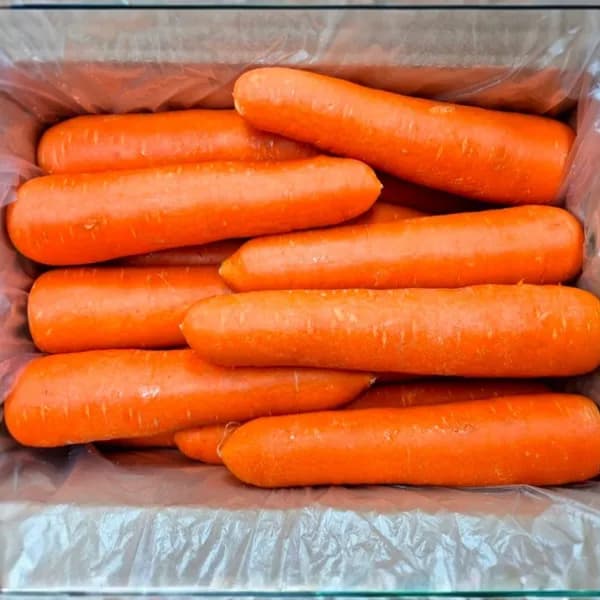 세척당근 특품 2kg 1개 5,900원