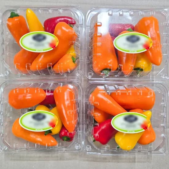 야채삼촌 미니 파프리카, 250g, 8개