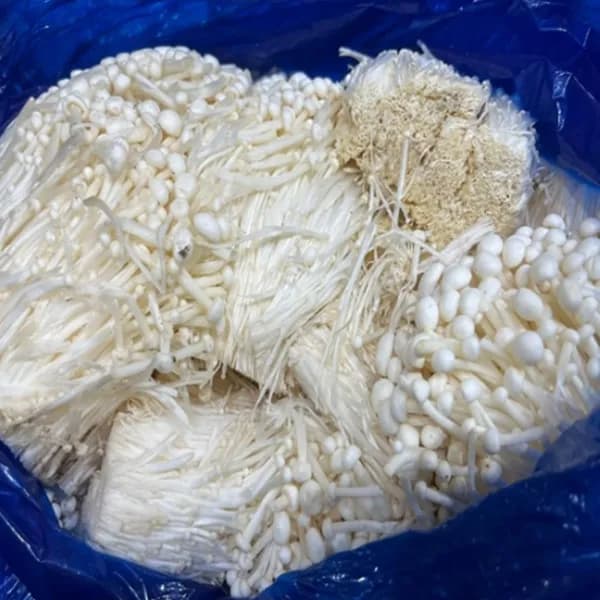 야채삼촌 국내산 팽이버섯 4kg 1개 12,900원