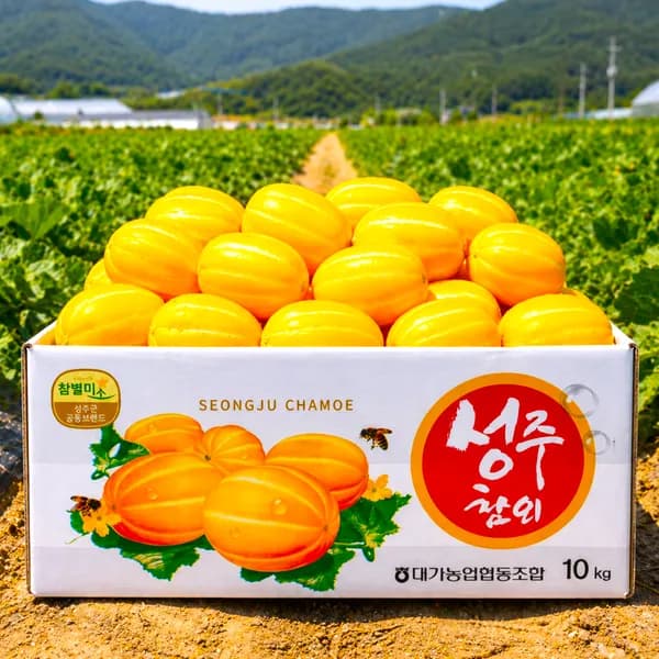 초고당도 벌꿀맛 가정용 성주 참외 랜덤과 3kg 1박스