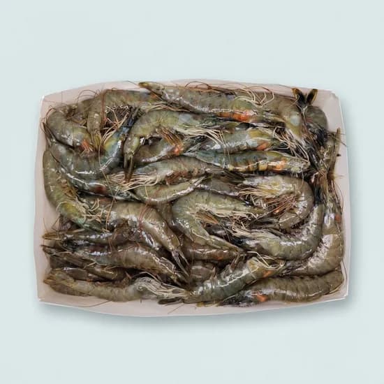 수산잇츠 냉동 흰다리 새우 2kg 1개
