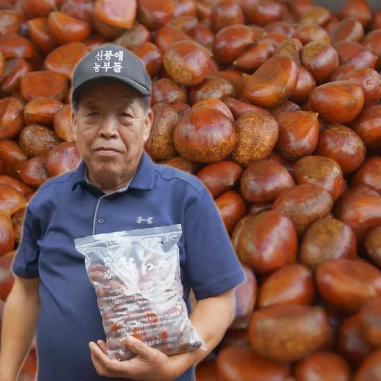 신풍애 농부들 공주밤 알밤 정안밤, 특대사이즈, 1kg, 2봉