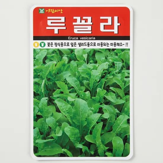 아람종묘 루꼴라 씨앗 2000립 1개