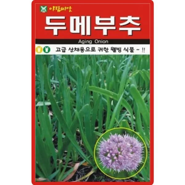 아람종묘 두메부추 씨앗 100립 1개