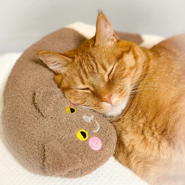 캐티맨 냥슬립 보들냥이 모카, 브라운, 1개 14,000원