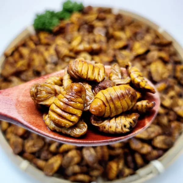 수산잇츠 냉동 번데기 900g 2개