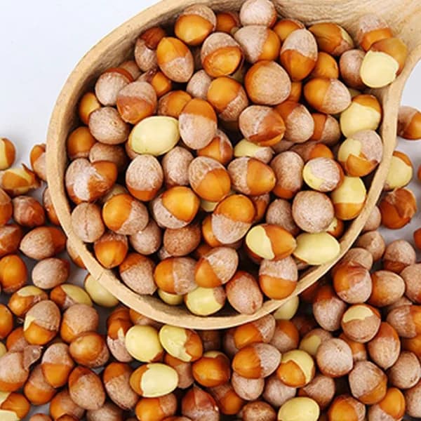 박경철농장 깐 은행 중 500g 1봉