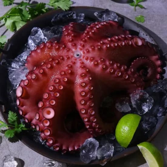 바다수산 자숙문어 2kg 내외 1개