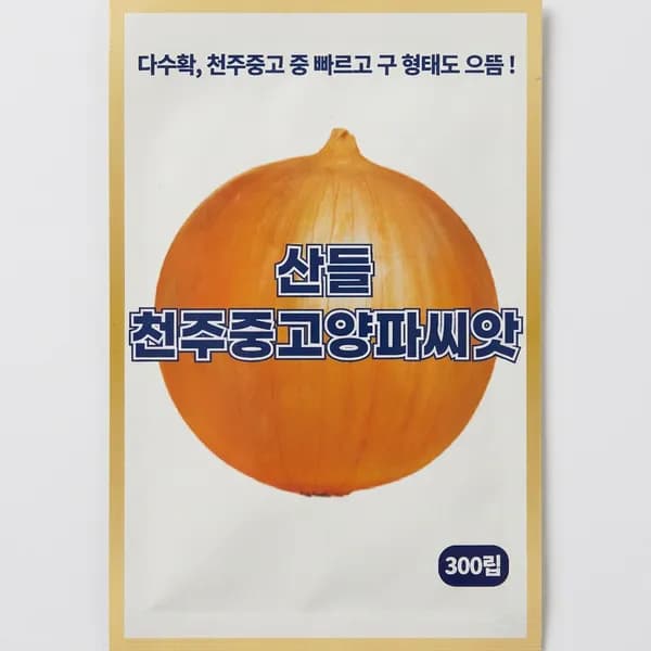 천주중고 양파 씨앗 300립 1개