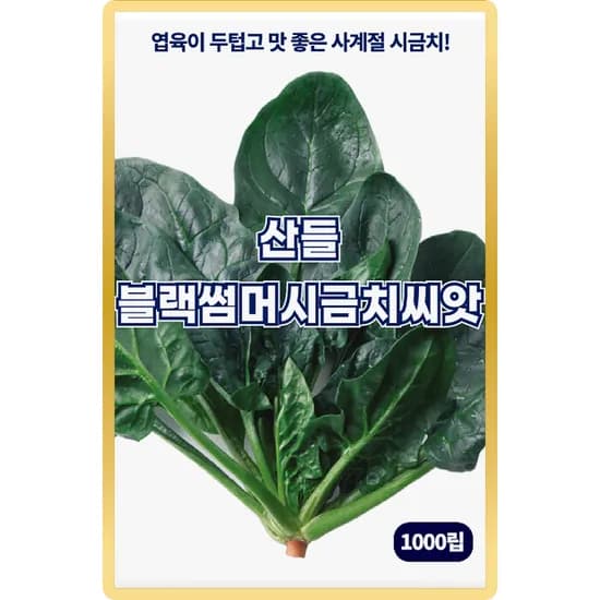 산들마켓 산들 블랙썸머 시금치 씨앗, 1000립, 1개