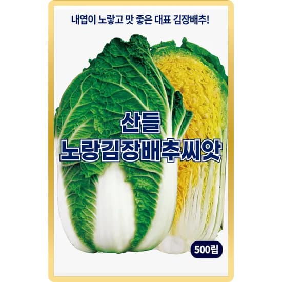 산들마켓 산들노랑김장배추씨앗 장생3호, 500립, 1개
