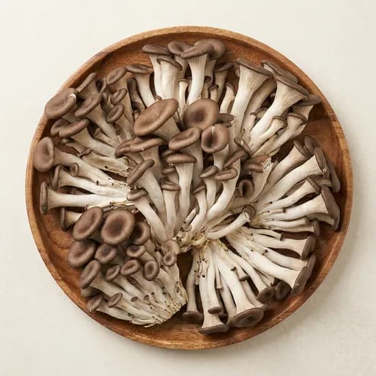 국내산 무농약 흑타리버섯 대용량 2kg 1개