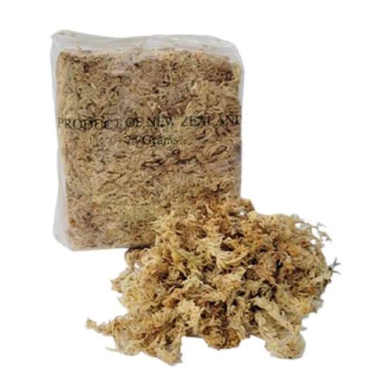 뉴질랜드 수태, 75g, 1개