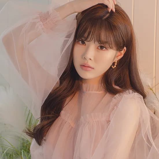 가발나라 인모 앞머리가발 소프트뱅 내츄럴다크브라운 1개