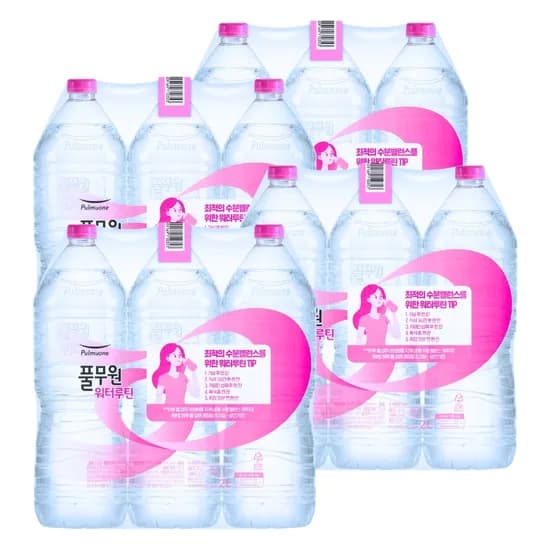 풀무원 워터루틴, 무라벨, 2L, 24개