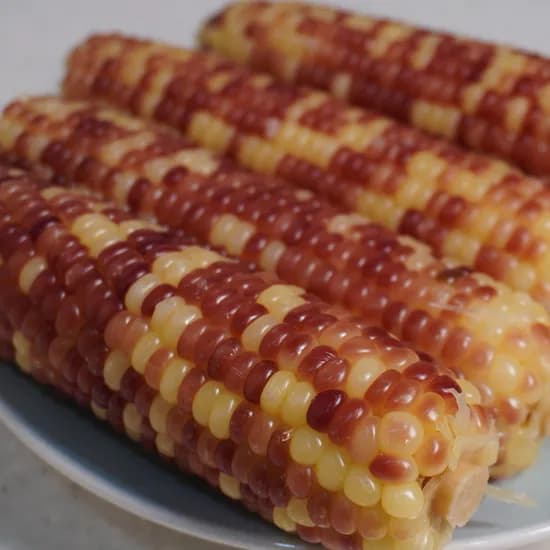 홍찰옥수수 냉동 일반 5kg 30개