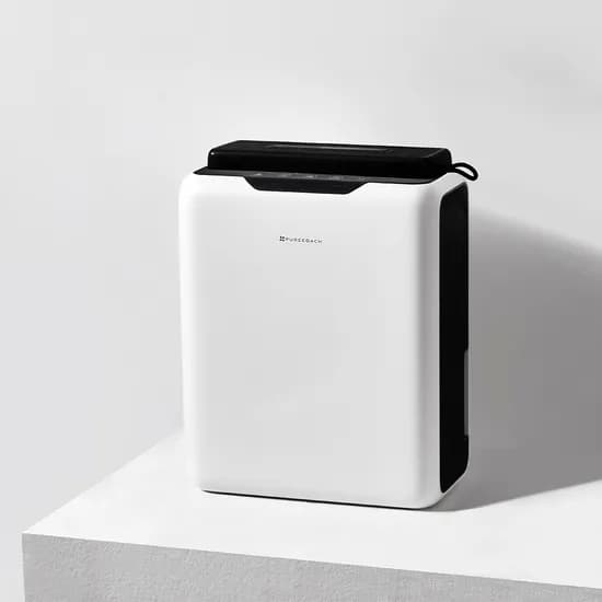 퓨어코치 2 in 1 실리카겔 펠티어 제습기, DH2500D, 1개