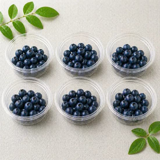 국내산 생 블루베리 13-15mm 100g 6개