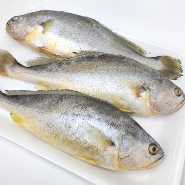 수산잇츠 냉동 부세조기 700g 3미 1개