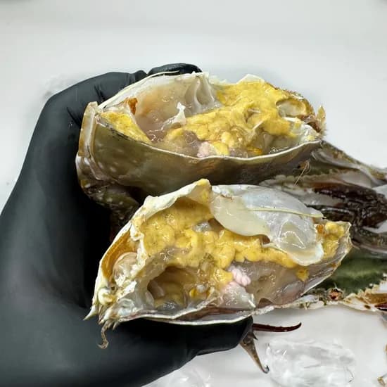 수산특공대 서해안 활 숫꽃게 3-5미 1kg 1개 12,500원