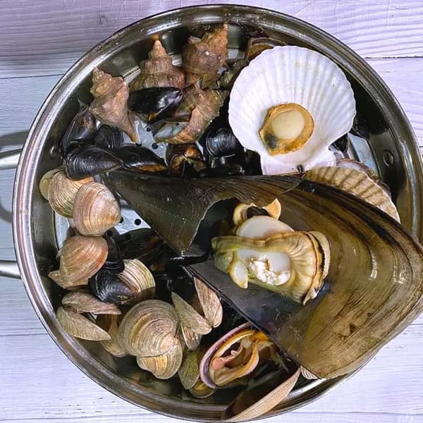 연안 조개찜 2kg 내외 1팩