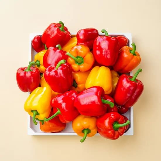 지지팜 파프리카 가정용 1kg 1박스