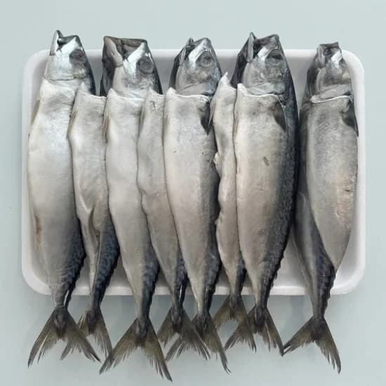 엄마들푸드 자반고등어 대짜 국내산 3.7kg 10마리