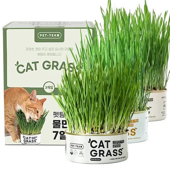 펫팀 고양이 캣그라스, 새싹밀, 540g, 3개입, 1개
