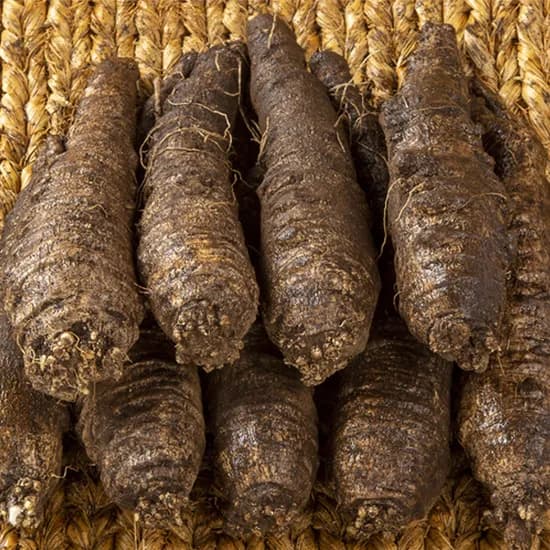 금산더덕 가정용 실속형 더덕 왕특 1kg 7 10뿌리 1개