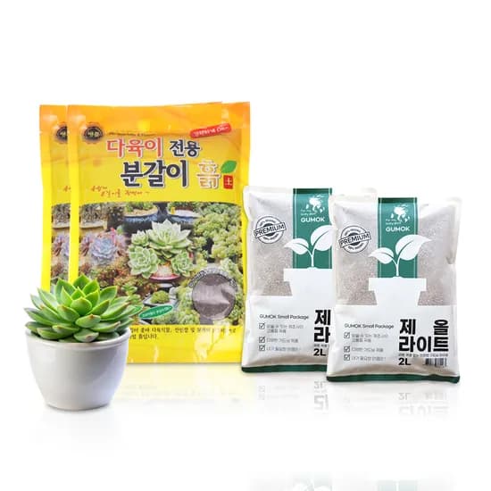 거목산업사 다육이 전용 분갈이흙 실속 세트, A세트, 1세트