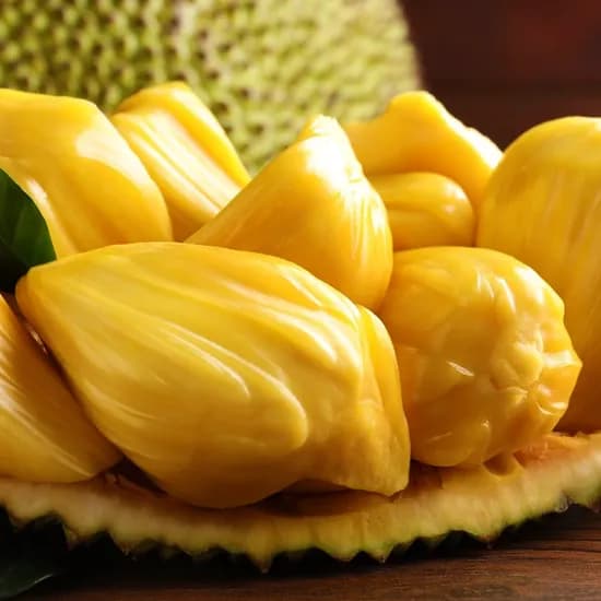 냉동 잭프루트 500g 4팩