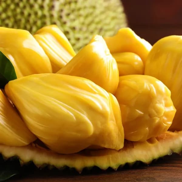 냉동 잭프루트 500g 10팩 39,400원