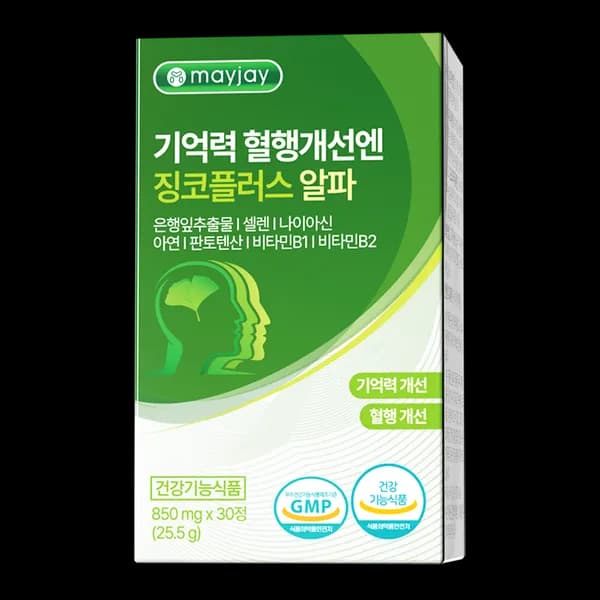 징코 플러스 은행잎추출물 30정 2개