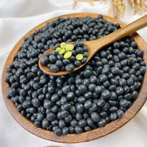 힘찬농부오달봉 국산 약콩 쥐눈이콩 500g