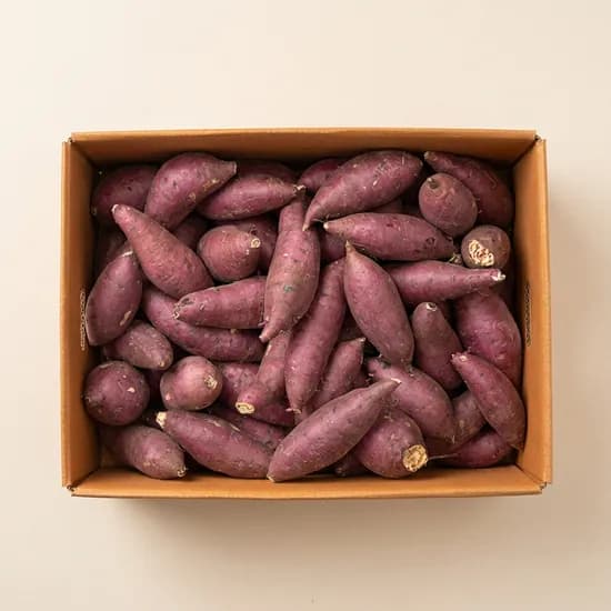 한입 햇고구마 4kg 1박스