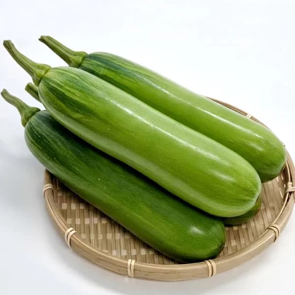 울팜 애호박 300g 5개