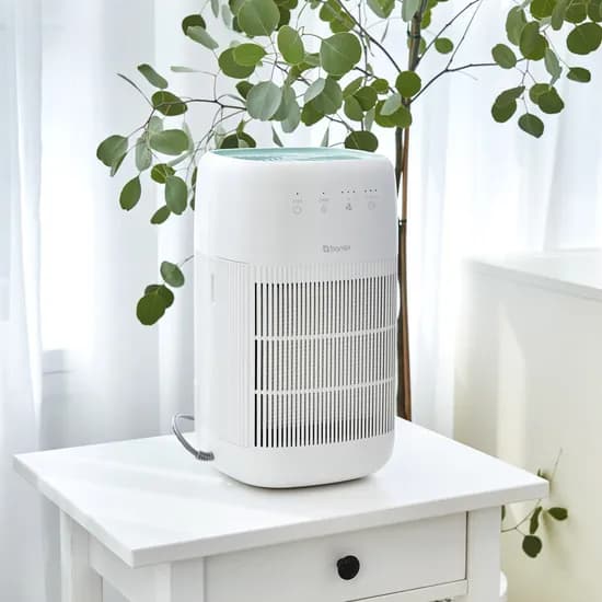 바넥스 공기청정 제습기, BN-D750, 1개